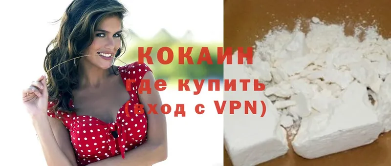 Cocaine Fish Scale  как найти закладки  Куровское 